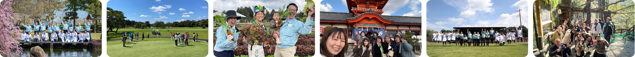 つくば分析センターの社内イベントの様子