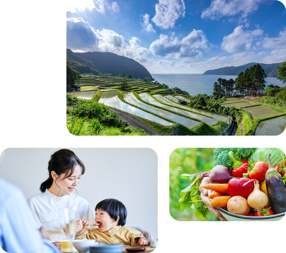 検査・分析を通して日本の農業の発展を支え食の安全を確保する「つくば分析センター」のイメージ